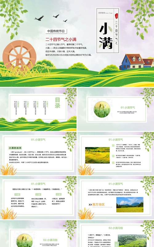 简约卡通二十四节气小满节气PPT模板