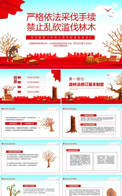 学习解读中华人民共和国森林法严格依法采伐手续禁止乱砍滥伐林木动态PPT模板
