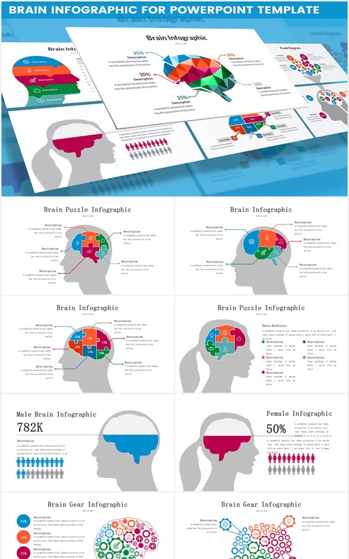 大脑信息图表头脑风暴思维PPT模板素材Brain Infographic for Powerpoint Template