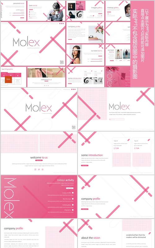时尚商业项目计划书PPT模板版式设计Molex Powerpoint Template