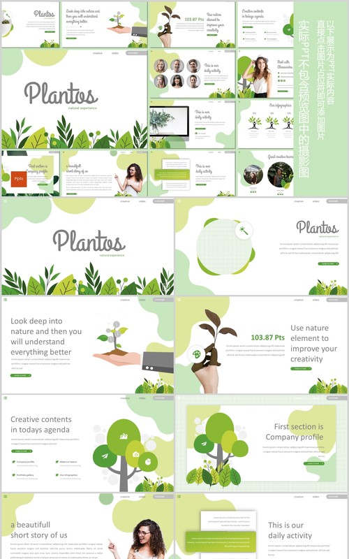 教育信息工作通用PPT模板版式设计Plantos Powerpoint Template