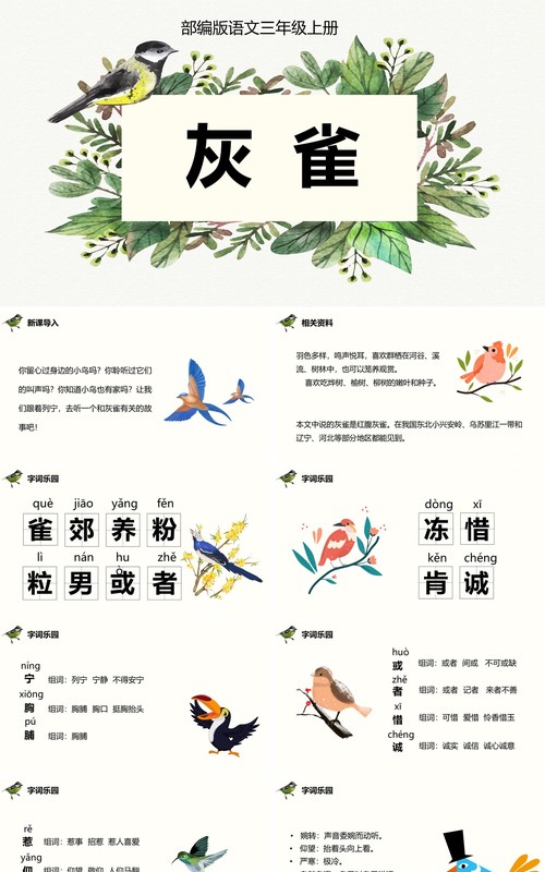 部编版三年级语文上册灰雀课件PPT模板