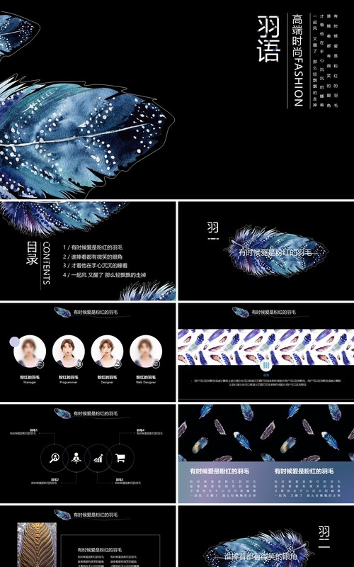 创意羽毛黑色工作通用PPT模板