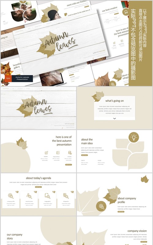 秋叶图形公司介绍PPT模板版式设计Autumn leaves Powerpoint Template