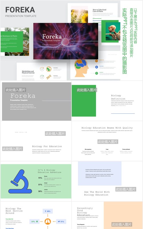 生物教育医疗医院人体模型PPT模板Foreka - Biology Education Powerpoint