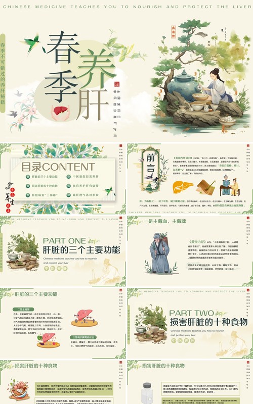 绿色中国风春季养肝中医知识PPT模板