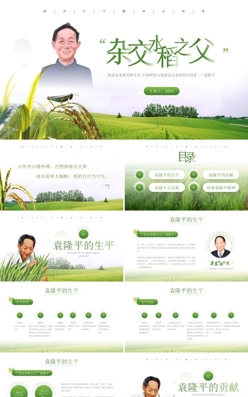 绿色简约风袁隆平院士生平介绍PPT模板