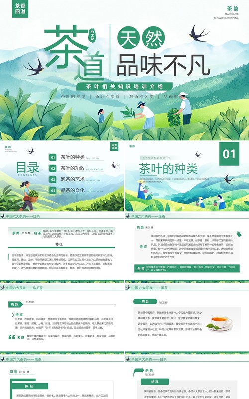 绿色插画风茶叶相关知识介绍PPT模板