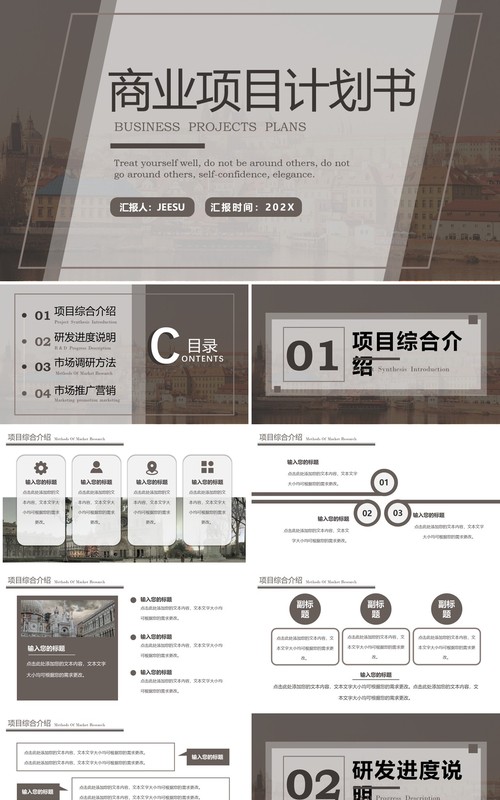 棕色简约风商业项目计划书PPT通用模板