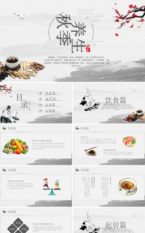 灰色中国风秋季养生宣传PPT模板