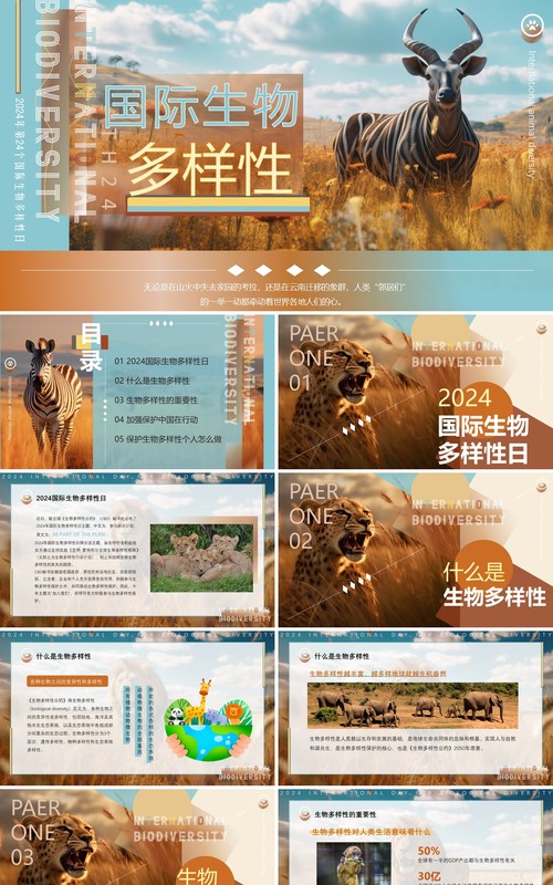 蓝棕色插画风国际生物多样性PPT模板