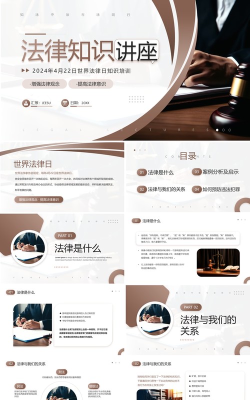 棕色简约风世界法律知识讲座PPT模板