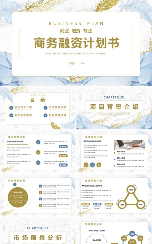 蓝色鎏金风商务融资计划书通用PPT模板