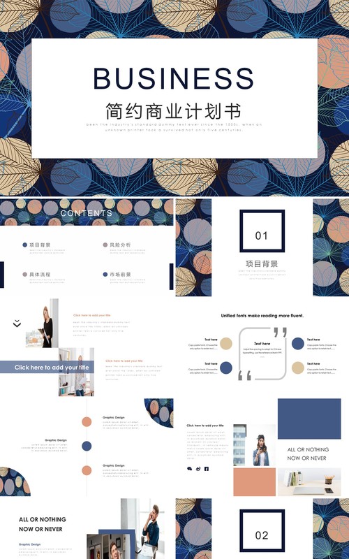 高端时尚简约商业计划书PPT模板