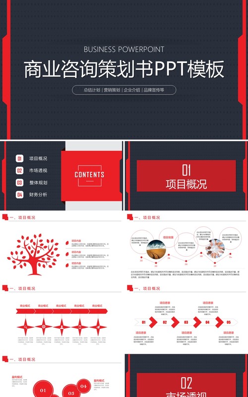 商业咨询策划书PPT模板