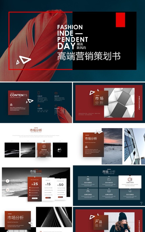 潮流新风尚高端营销策划书PPT模板